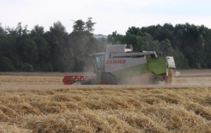 Une moisson à mi-parcours