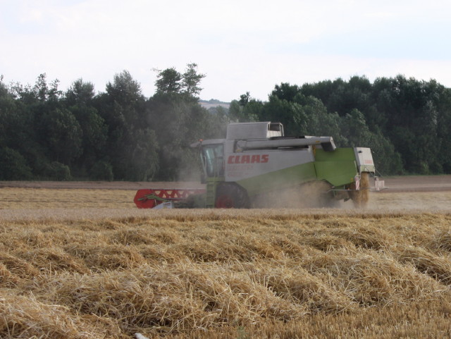 Une moisson à mi-parcours