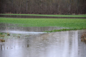 Inondations, crues