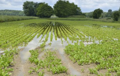 Quelles démarches suite aux inondations ?