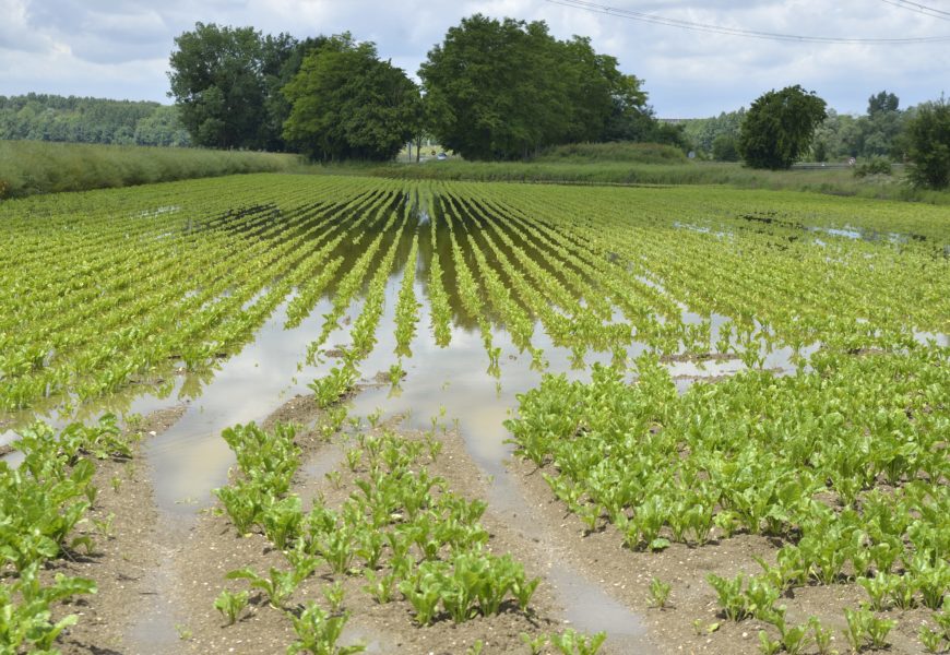 Quelles démarches suite aux inondations ?