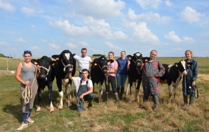 Le concours interdépartemental de la race Prim’Holstein