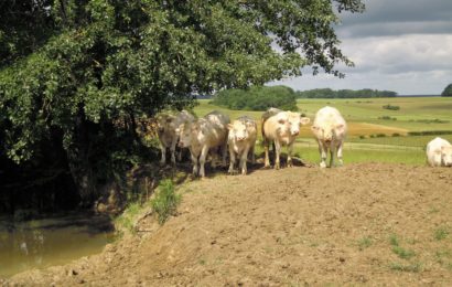 Sécheresse 2018 : encore 15 jours pour déposer votre dossier de demande d’aide