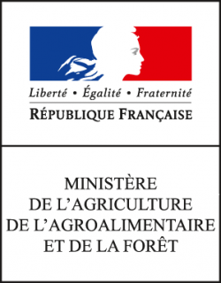 Draaf : Hélène Debernardi nommée directrice régionale adjointe