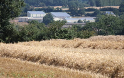 Silos de céréales : opération de contrôles du niveau de sécurité