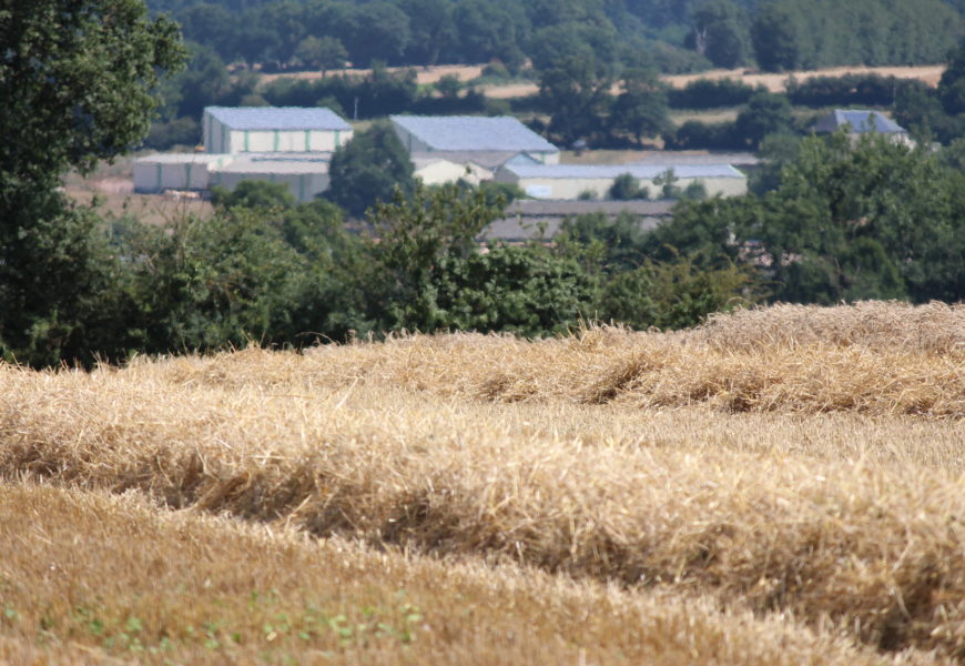 Silos de céréales : opération de contrôles du niveau de sécurité