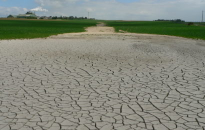 De nouvelles mesures pour aider les agriculteurs touchés par la sécheresse De nouvelles mesures pour aider les agriculteurs touchés par la sécheresse