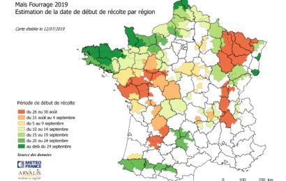 Maïs fourrage : des récoltes à partir du 25 août