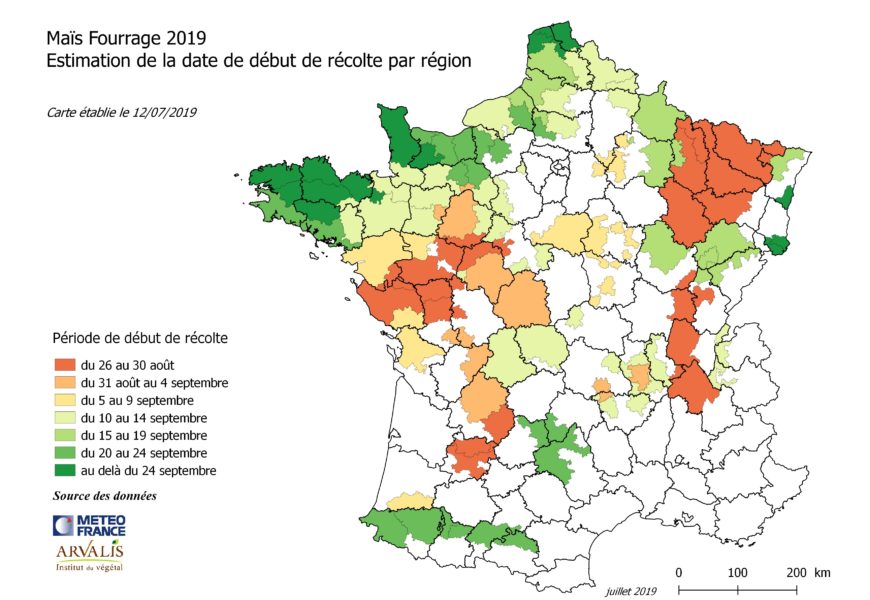 Maïs fourrage : des récoltes à partir du 25 août