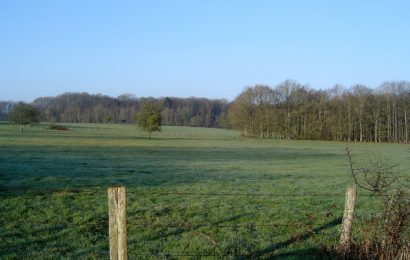 Réchauffement climatique : quelles conséquences dans le Chaourçois