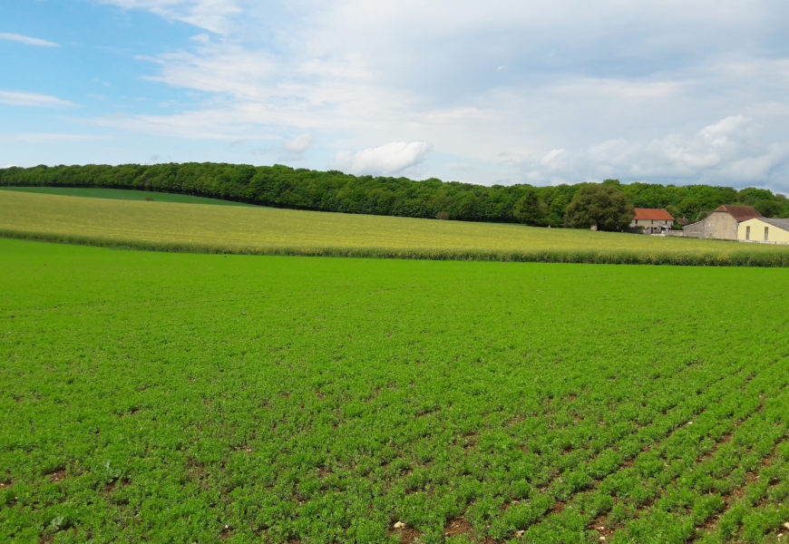 La Chambre d’agriculture passe à l’attaque