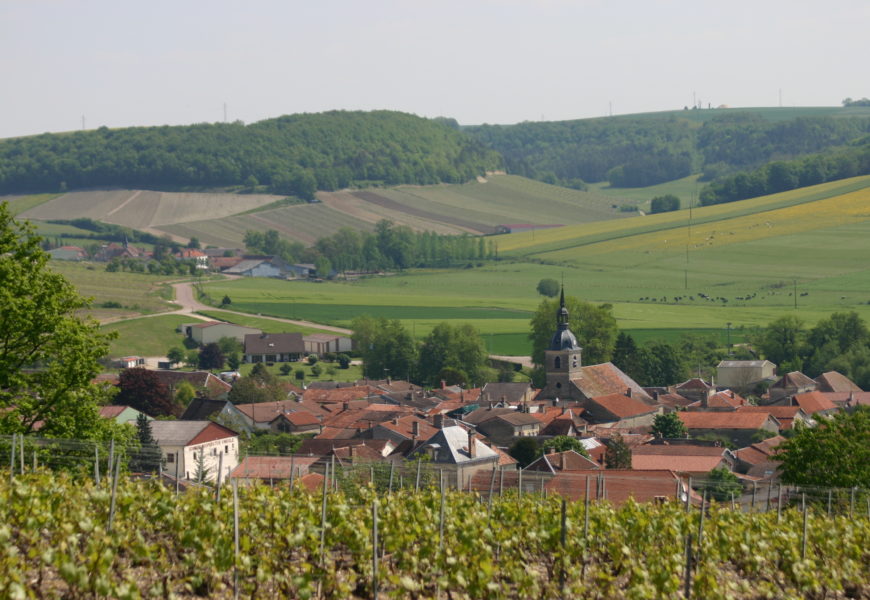 « On veut encourager le bon sens paysan »