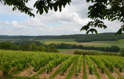 Rebâtir la souveraineté alimentaire française, la priorité