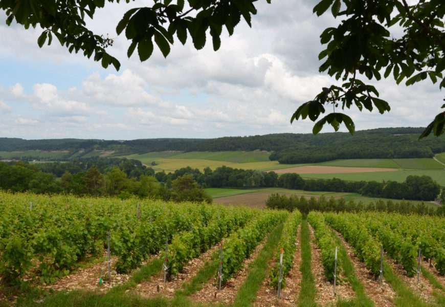 Rebâtir la souveraineté alimentaire française, la priorité
