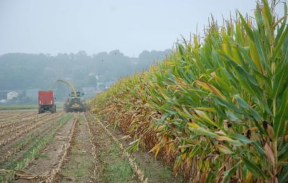 Ensilage de maïs : le succès des rendez-vous analyses