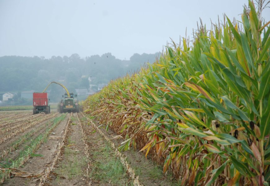 Ensilage de maïs : le succès des rendez-vous analyses