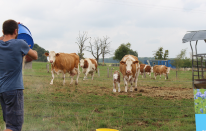 L’agriculture haut-marnaise carbure au vert