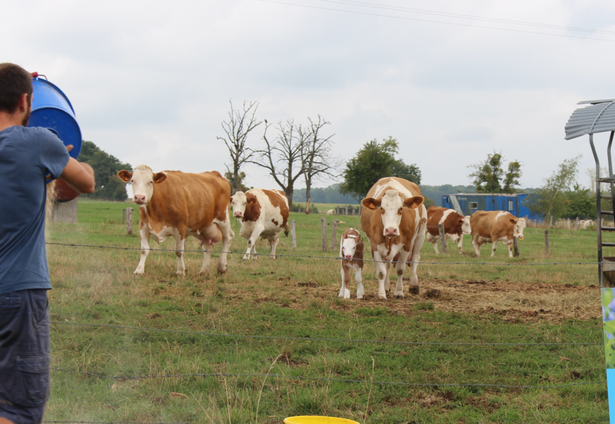 L’agriculture haut-marnaise carbure au vert