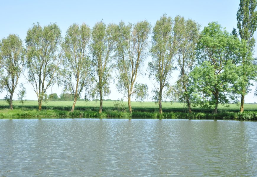 Des webinaires consacrés au stockage de l’eau