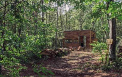 Une cabane dans mes bois [lecture abonné]