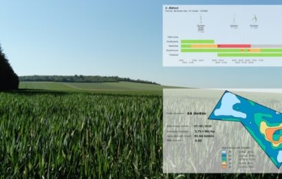 Outils d’aide à la décision : des modèles sécurisants et rentables