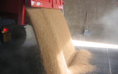 Auto-construire son stockage de grains à la ferme