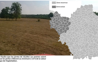 Sécheresse 2020 : les exploitants sinistrés seront indemnisés