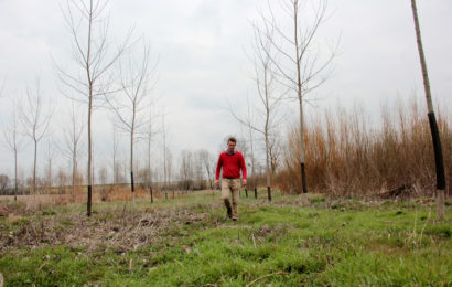 La Sarl Poupart plante d’arrache-pied