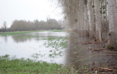 Des actions pour mieux gérer l’eau