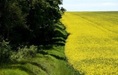 Soufflet généralise son dispositif  pour soutenir la filière