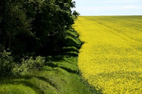 Soufflet généralise son dispositif  pour soutenir la filière