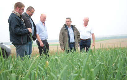 Les agriculteurs appellent à l’aide