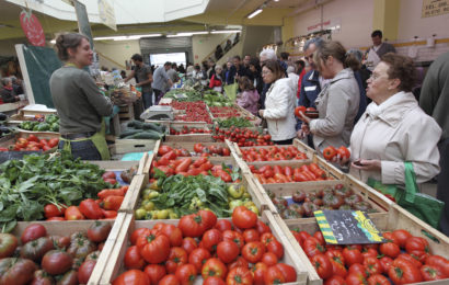 Les exploitations agricoles en baisse de 20%