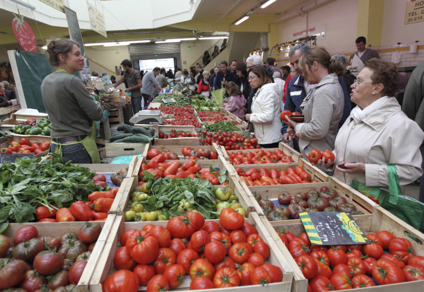 Les exploitations agricoles en baisse de 20%