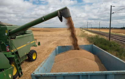 Russie-Ukraine : l’arme alimentaire  au cœur de la géopolitique