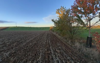 Construire son projet d’agroforesterie