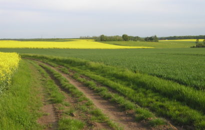 Du nouveau concernant les chemins ruraux