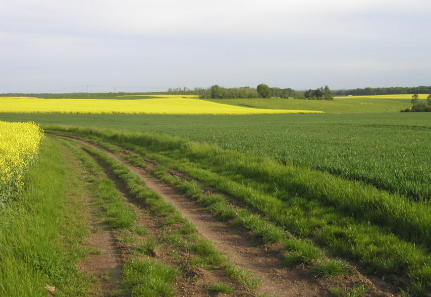 Du nouveau concernant les chemins ruraux