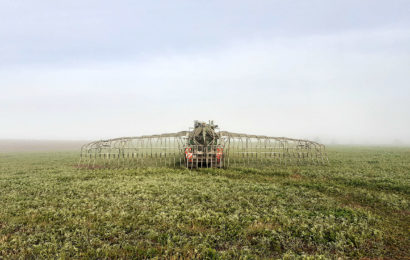 Une fertilisation azotée ajustée va de pair avec la qualité de l’air