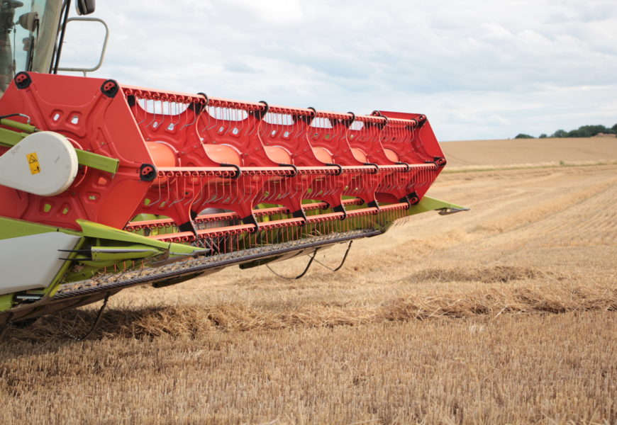 L’orge d’hiver marqué par  une très forte hétérogénéité