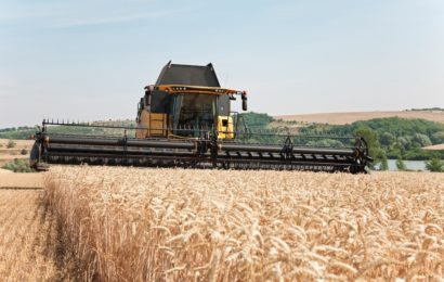 Céréales : les opérateurs dans l’attentisme