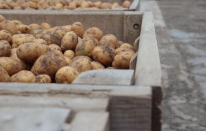 Le congrès national des producteurs de pommes de terre, à Troyes, le 8 juin