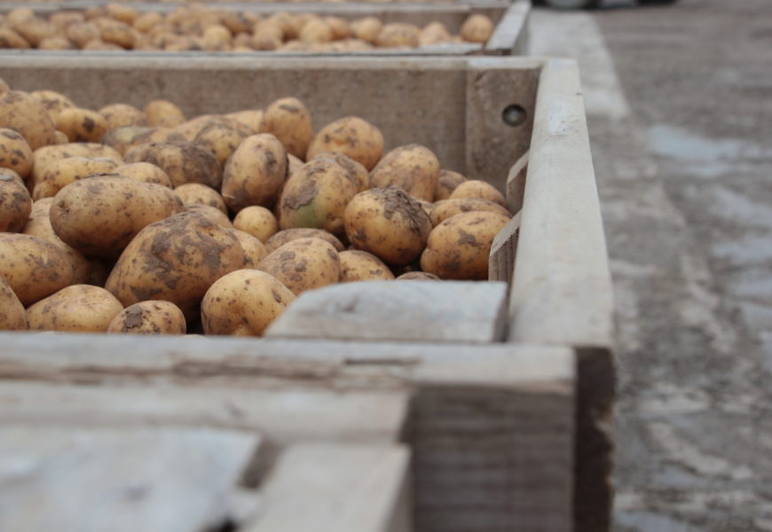Le congrès national des producteurs de pommes de terre, à Troyes, le 8 juin