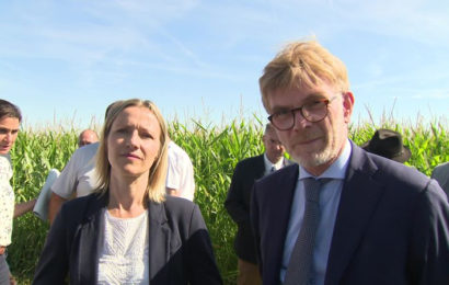 Canicule et gestion de l’eau :  un plan d’action pour l’agriculture