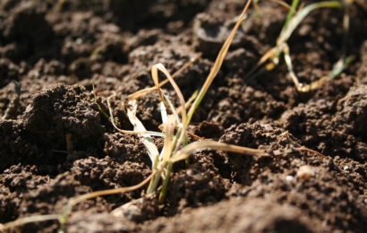 Agriculture : un budget à six milliards d’euros