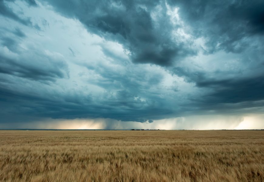 Assurance : la FNSEA fait le forcing sur le budget