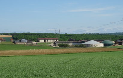 Du bail rural au statut du fermage