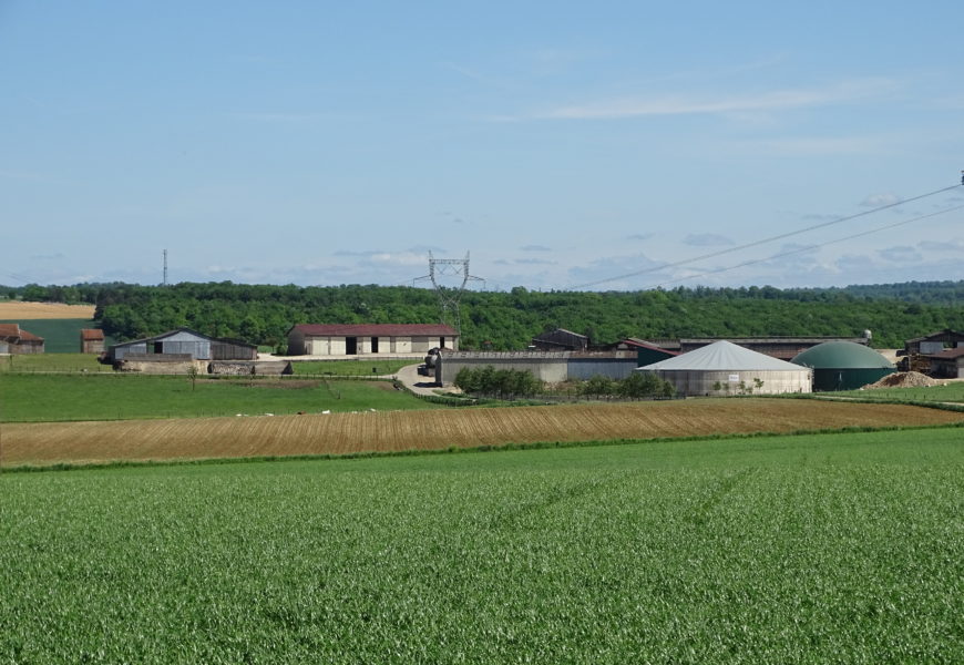 Du bail rural au statut du fermage