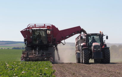 « Le prix sera déterminant  pour l’avenir de la filière »