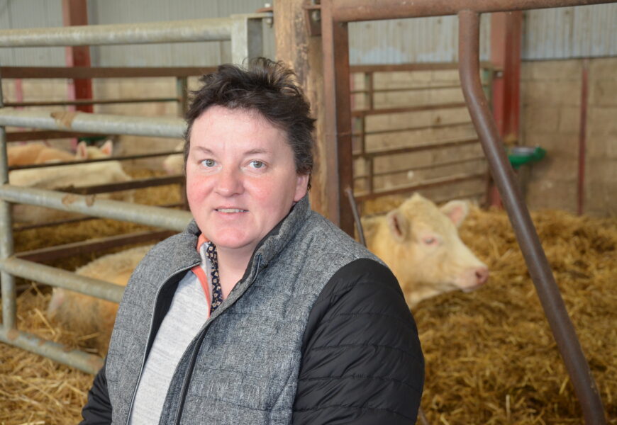 « Des forfaits pour inciter les éleveurs à anticiper les maladies »